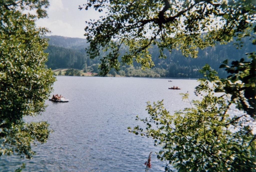 Résidence Les Myrtilles  Xonrupt-Longemer Exterior foto